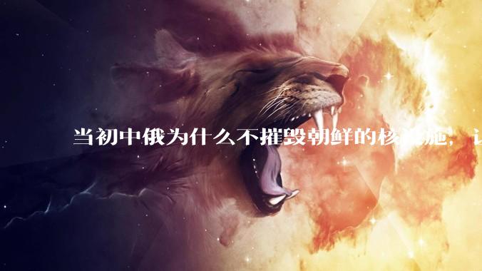 当初中俄为什么不摧毁朝鲜的核设施，让朝鲜拥有了自己的核武器？