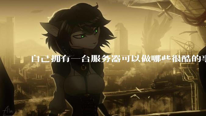 自己拥有一台服务器可以做哪些很酷的事情？